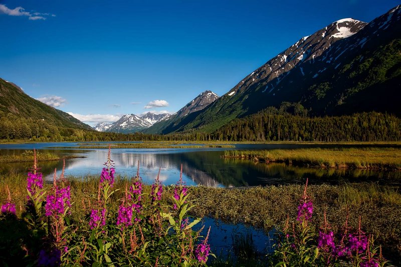 Mietwagen-Rundreise „Naturwunder Alaska“
